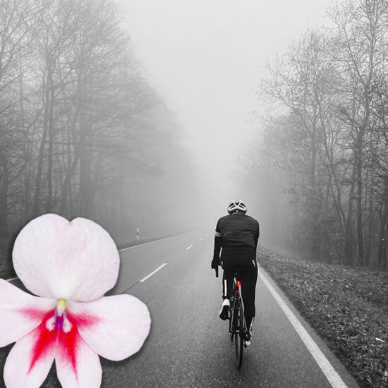 Regelmäßiges Winter-Radtraining zur Vorbeugung von Sitzproblemen und Erhalt von Fitness und Gewicht